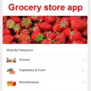 Webprogr grocery app